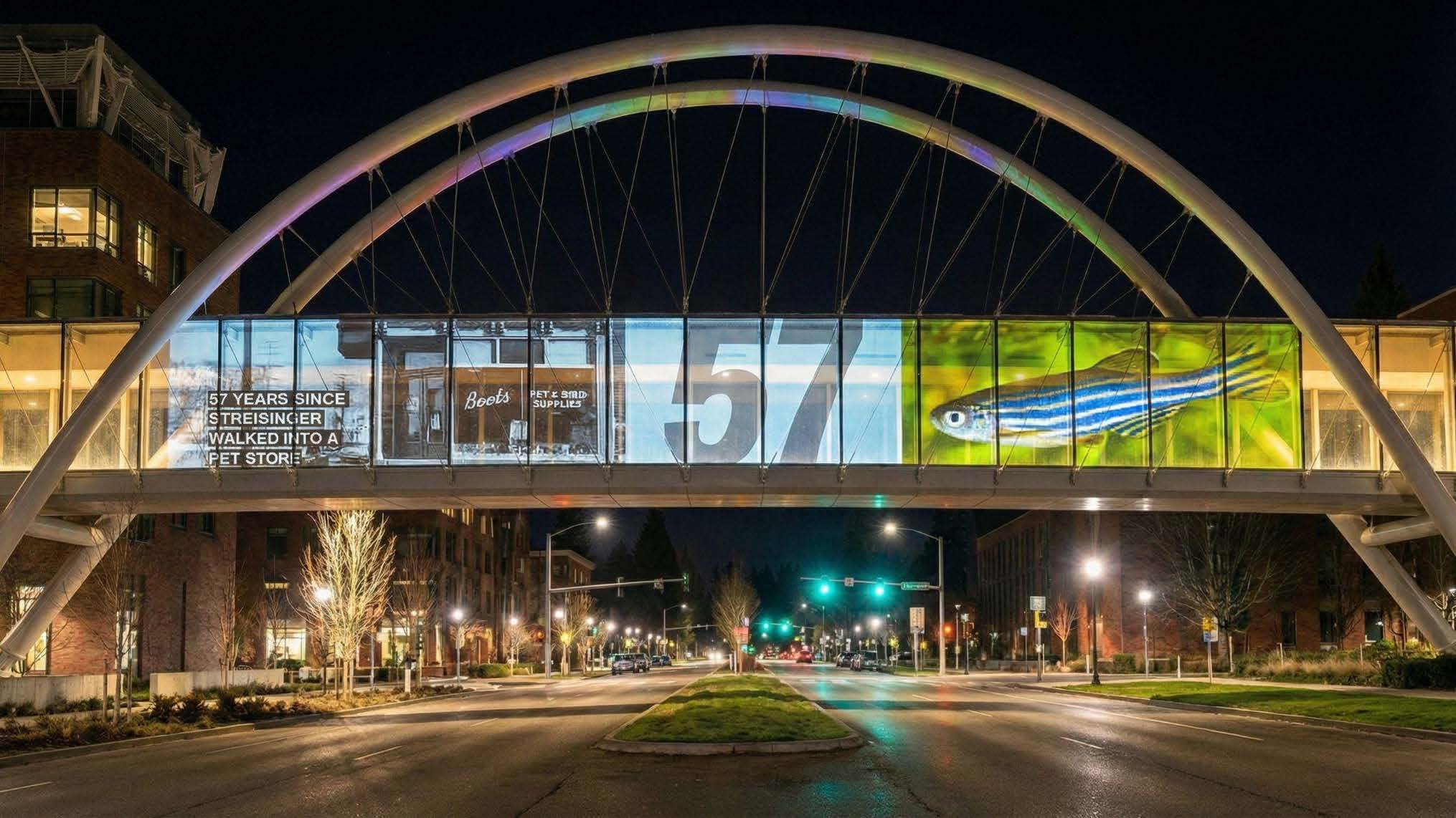 UO 150YearsOfGo Unstoppable BrandConcept POC Campus Installation06