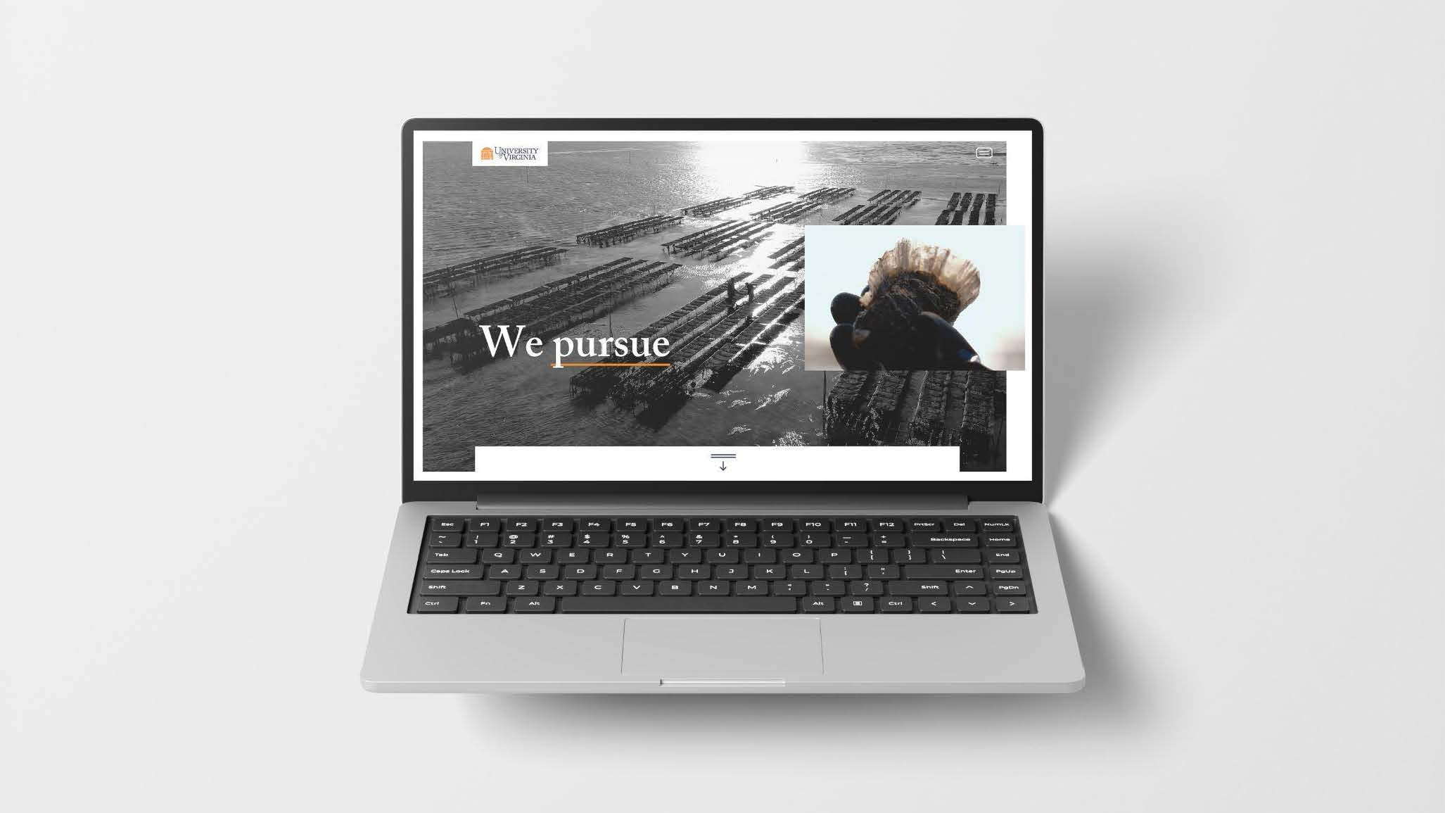 UVA Pursuits POCs microsite