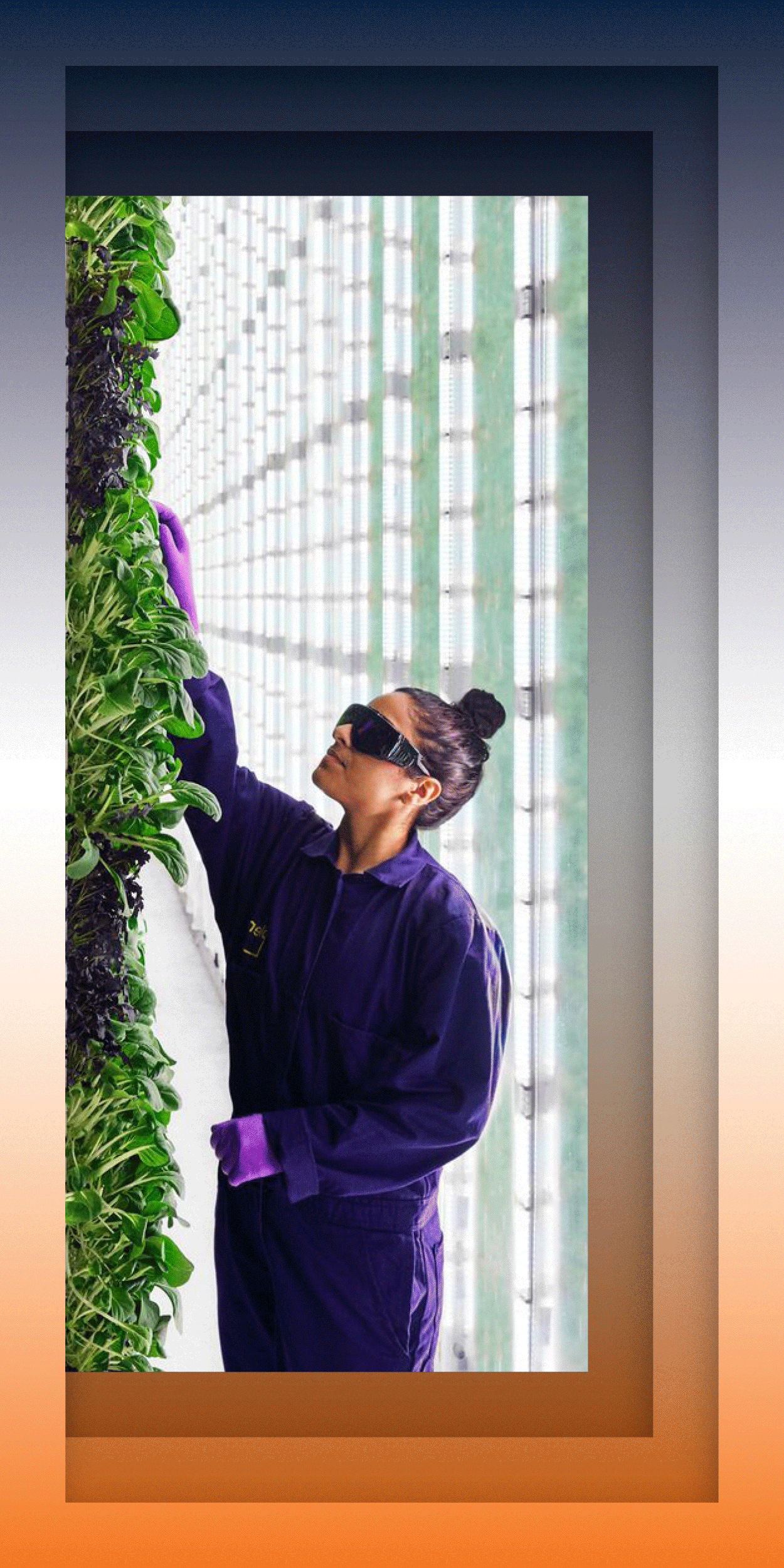 AU OutFrontAndUnshakeable POC InStatePrideCampaign DigitalAd FreightFarms