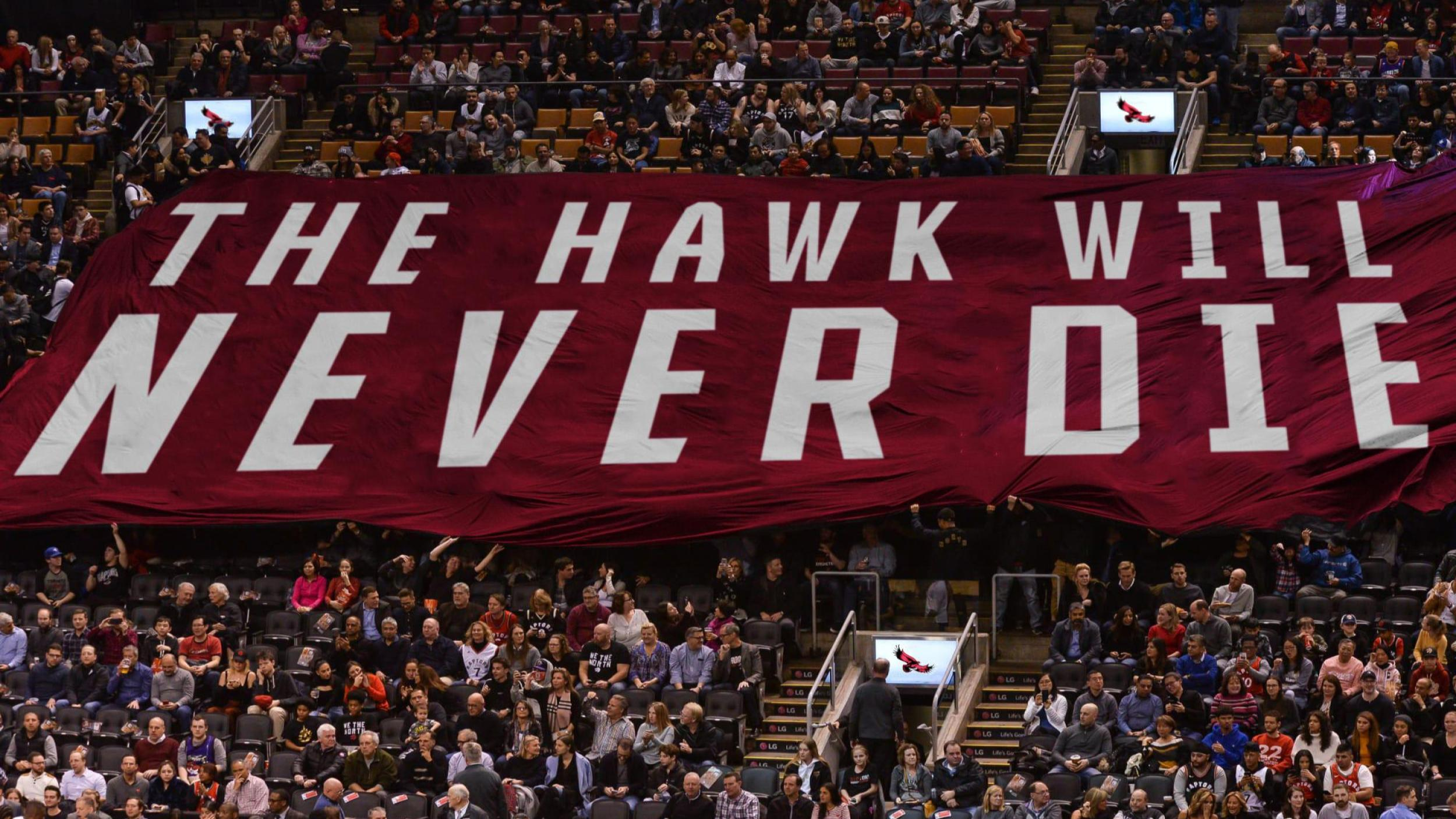 SJU Hawks AboveAllElse BrandConcept POC Environmental BasktballBanner