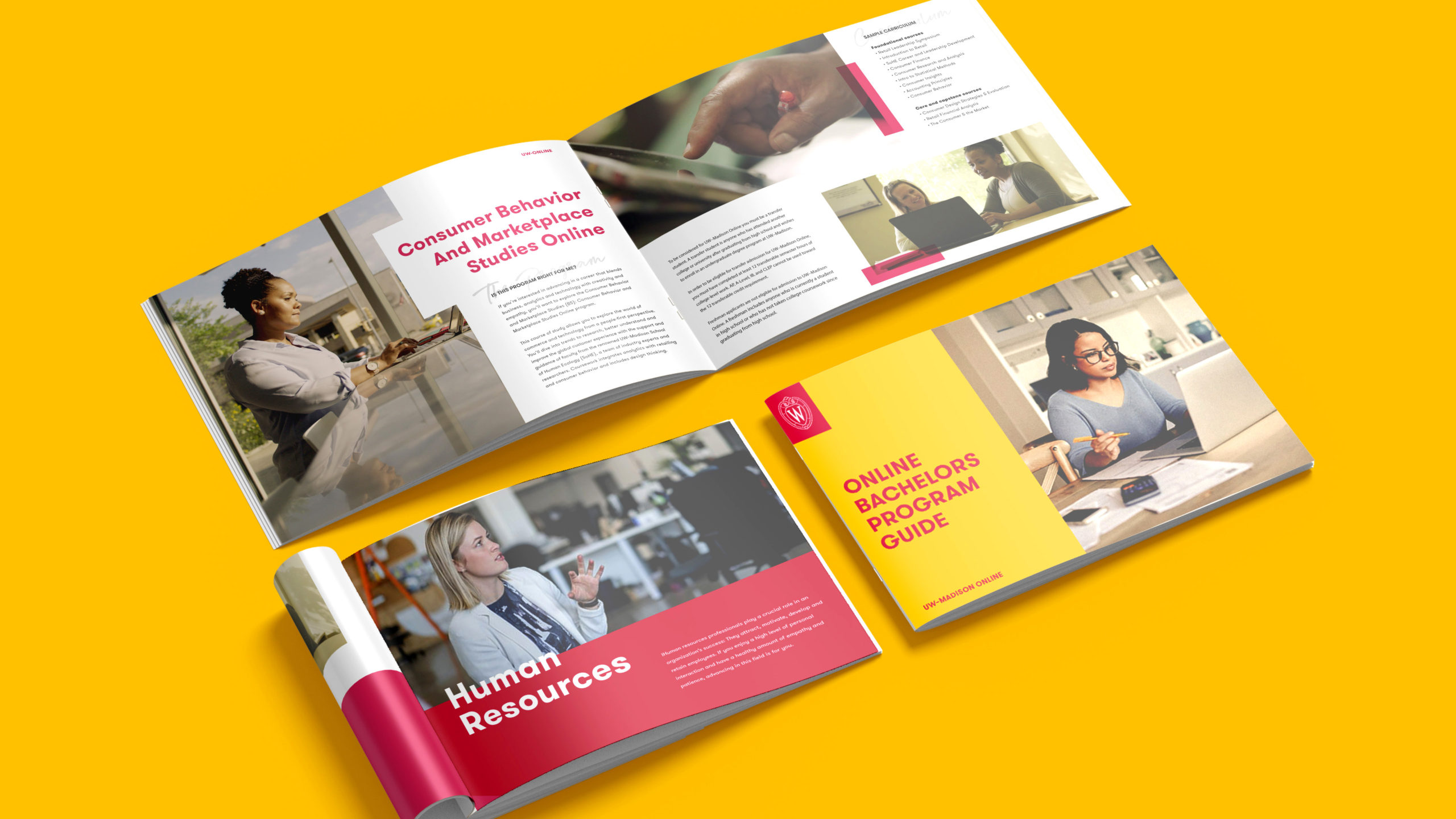 UW MadisonOnline BrandConcept POC Print OnlineBachelorsProgramGuide
