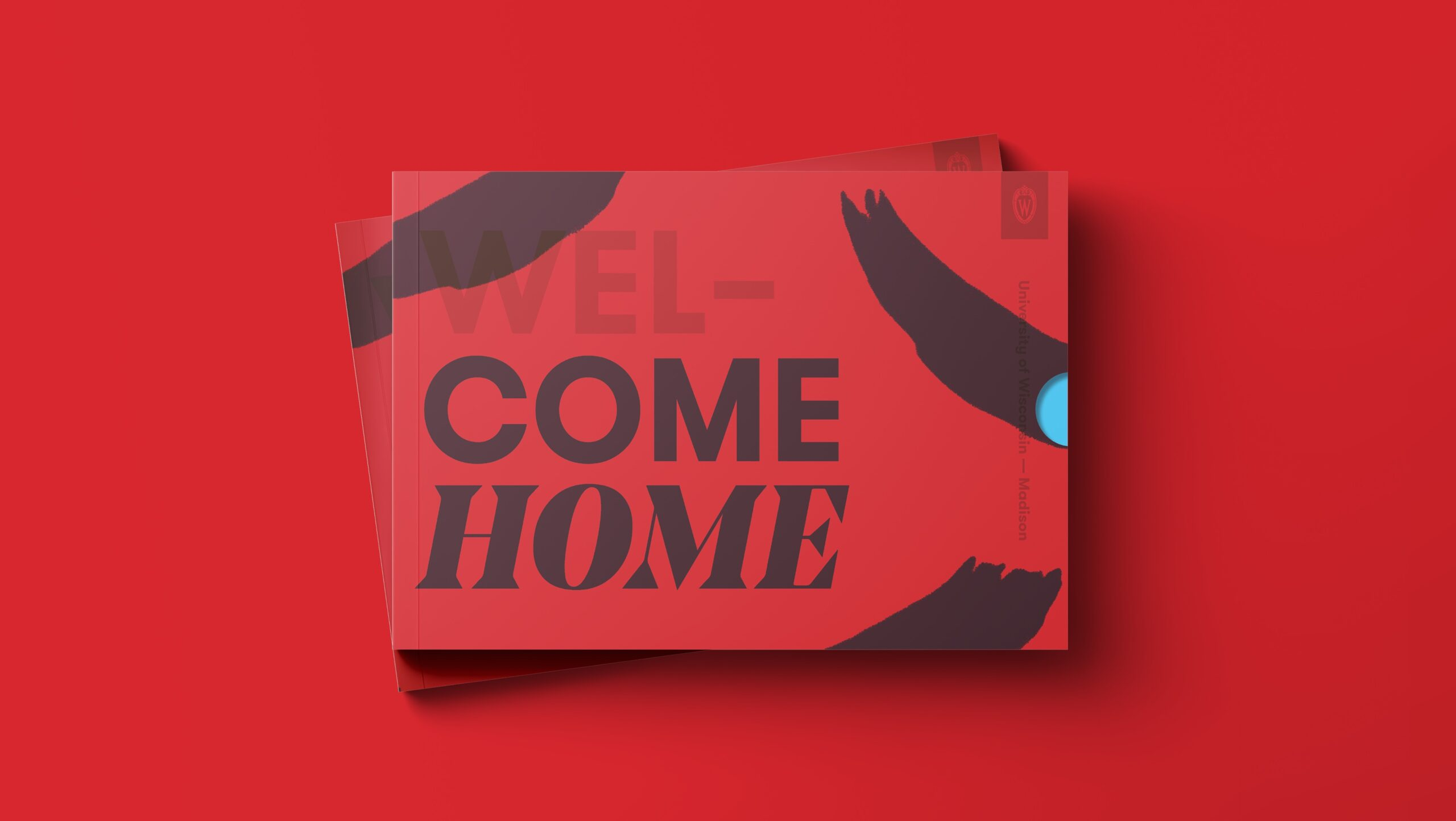 UW MadisonOnline BrandConcept POC Print Trifold International