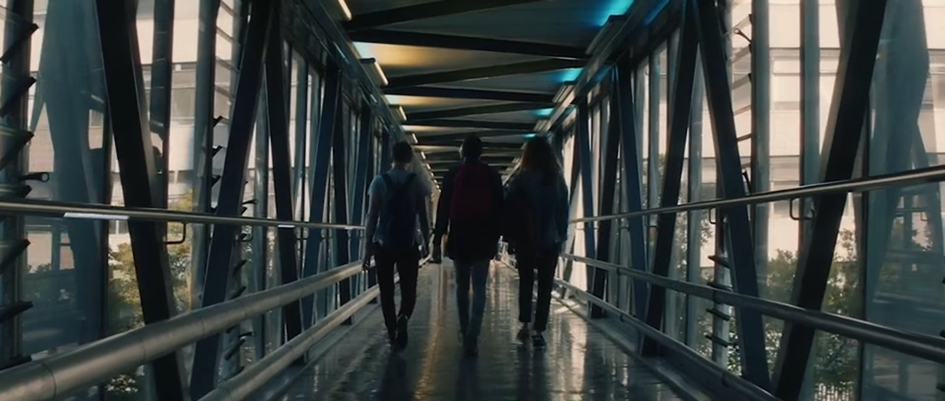 Video poster: University of Wisconsin "For What it's Worth" (Director's Cut)